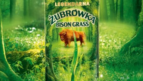 Odkryj legendę – limitowana odsłona Żubrówki Bison Grass!